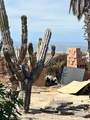  Calle Sin Nombre - Photo 31