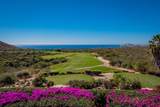  Cabo San Lucas - Photo 28