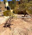 811 Nopal C - Photo 17