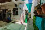  Ballena De Bryde - Photo 15