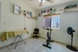  Ballena De Bryde - Photo 25