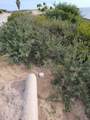 C5 Calle Pez Vela - Photo 29