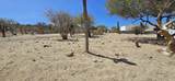  Los Barriles-Santa Teresa - Photo 5