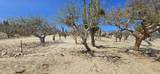  Los Barriles-Santa Teresa - Photo 6