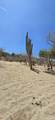  Los Barriles-Santa Teresa - Photo 9