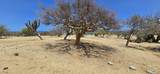  Los Barriles- Santa Teresa - Photo 4