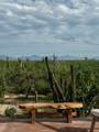 Playitas Lote 0616 - Photo 25