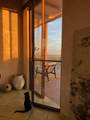 Playitas Lote 0616 - Photo 7