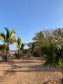  Calle Casa Viejos - Photo 10