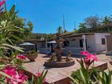 1030 Calle Lic. Primo Verdad - Photo 36