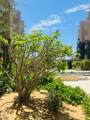  Calle Acceso Al Hotel Riu - Photo 4