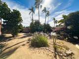  Agustin Olachea - Photo 40