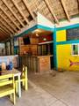 204 Blvd. Forjadores - Photo 6