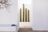 #1, MZA B Casa Margaux - Photo 51