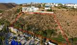  Palmira - Photo 2