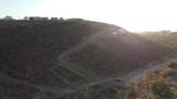  Palmira - Photo 5
