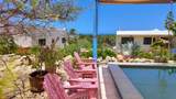81 Calle Palo Verde - Photo 10