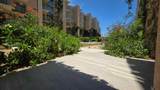  Calle Acceso Al Riu - Photo 2