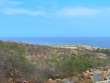  Calle Via La Paloma - Photo 11