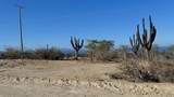  El Cardonal - Photo 15