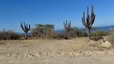  El Cardonal - Photo 16