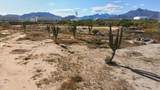  Calle Mulege - Photo 8