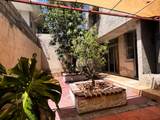 640 Calle Ignacio Altamirano - Photo 7