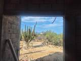  Gobernadora - Photo 15