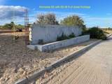  Calle Pez Vela B2 - Photo 5