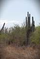 S/N Rancho San Simon - Photo 10