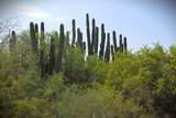 S/N Rancho San Simon - Photo 11