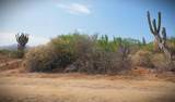S/N Rancho San Simon - Photo 24