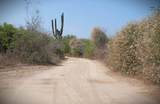 S/N Rancho San Simon - Photo 3