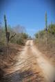 S/N Rancho San Simon - Photo 9