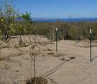 s/n San Juan - Photo 4