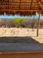 S/N San Juan De Los Planes - Photo 8