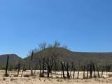  Lot - Photo 11