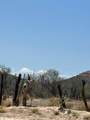  Lot - Photo 7
