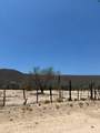  Lot - Photo 9