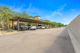  Jacarandas - Photo 28