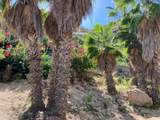 620 Plaza Santa Rita - Photo 19
