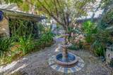 222 Erizo - Photo 7