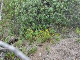  Zacaton - Photo 8