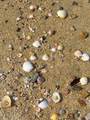  Ave Playa Feliz - Photo 7