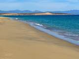 Ave Playa Feliz - Photo 6