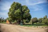 HighWay 19 Todos Santos -Los Cabos - Photo 17