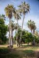 HighWay 19 Todos Santos -Los Cabos - Photo 28