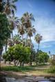 HighWay 19 Todos Santos -Los Cabos - Photo 9