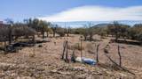 Camino A Cabo Del Este - Photo 23
