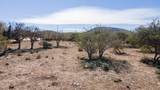  Camino A Cabo Del Este - Photo 24